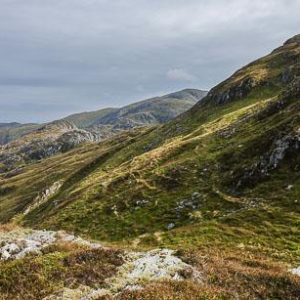 Summer Solstice Hill Walk