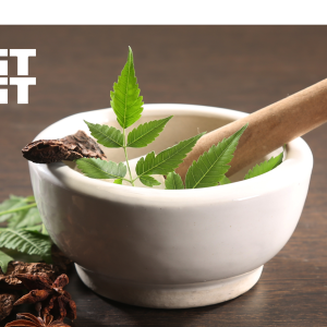 WESTFEST! Decode Your Body Type: A Guide to Energy, Cravings & Well‑Being